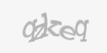 Защитный код